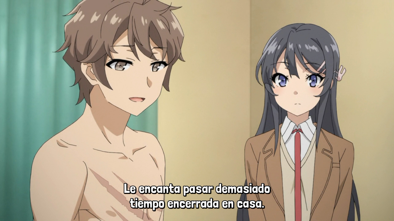 Seishun Buta Yarou wa Bunny Girl Senpai no Yume wo Minai (AniHenjin)